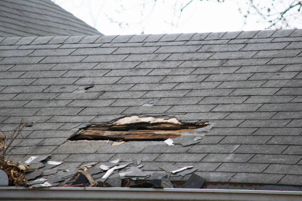 Storm damage documentation for insurance claim